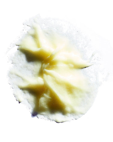 Close up texture of Spot Hero.