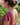 Robe TR 1