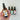 Bright Facial Serum 50ml Ecocert Certified